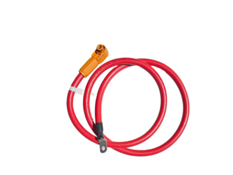 Deye Bateria RW-M6.1-B 51.2V 120Ah 6.14kWh IP65(niskonapięciowy)