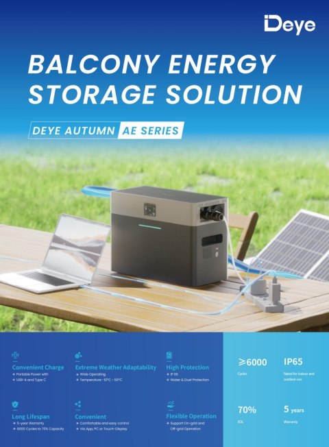 DEYE All In One AE-FS2.0-2H2 (1000W Inverter + 2kWh battery) low voltage