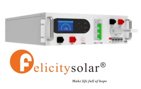 Felicity Controller-Modul FLH 48100UCG1 für Akku FLH48100UMG1