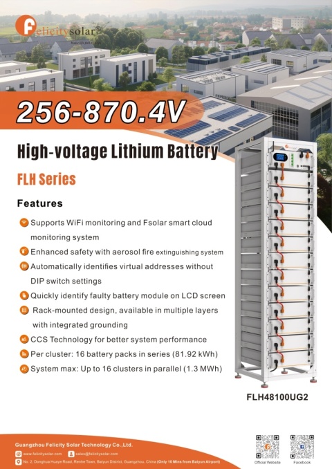 Felicity Szafa Rackowa FLH48100R13G2 (13 półek)